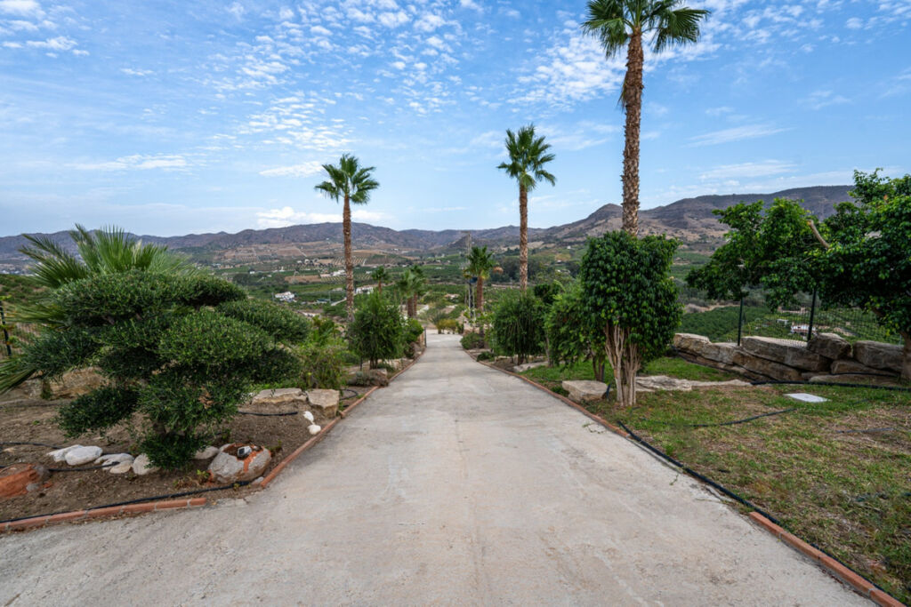 Finca - Cortijo Pizarra Málaga - image 32