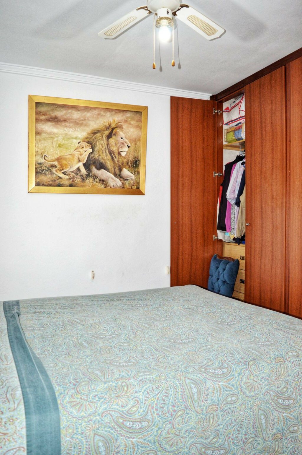 Townhouse Cómpeta Málaga - image 32