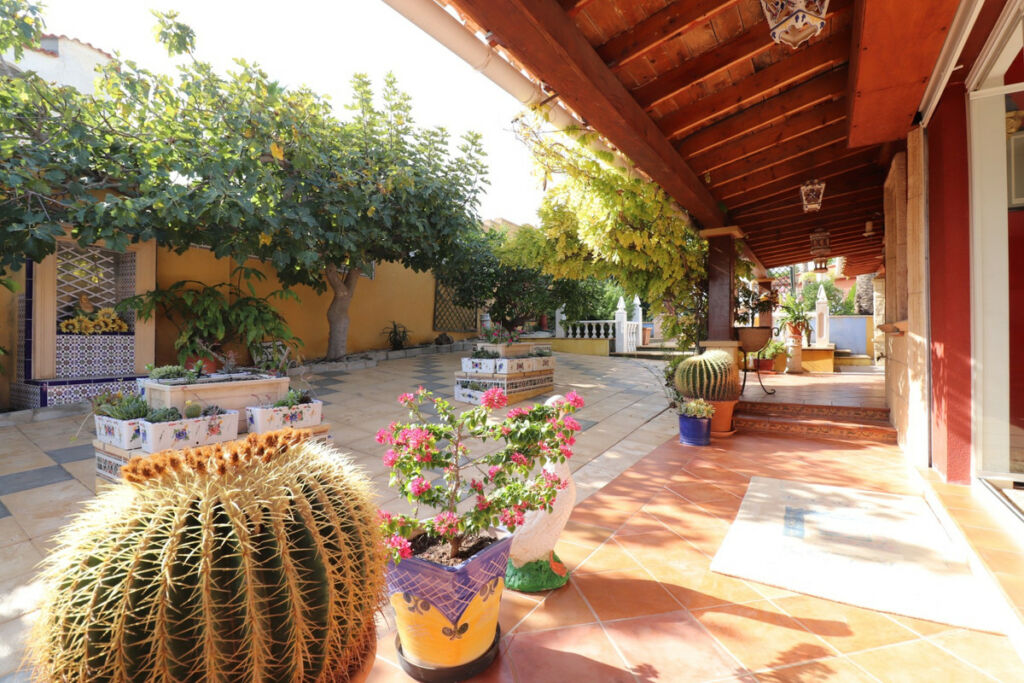 Detached Villa Algorfa Alicante - image 33