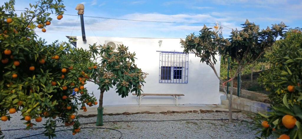 Finca - Cortijo Benamargosa Málaga - image 34