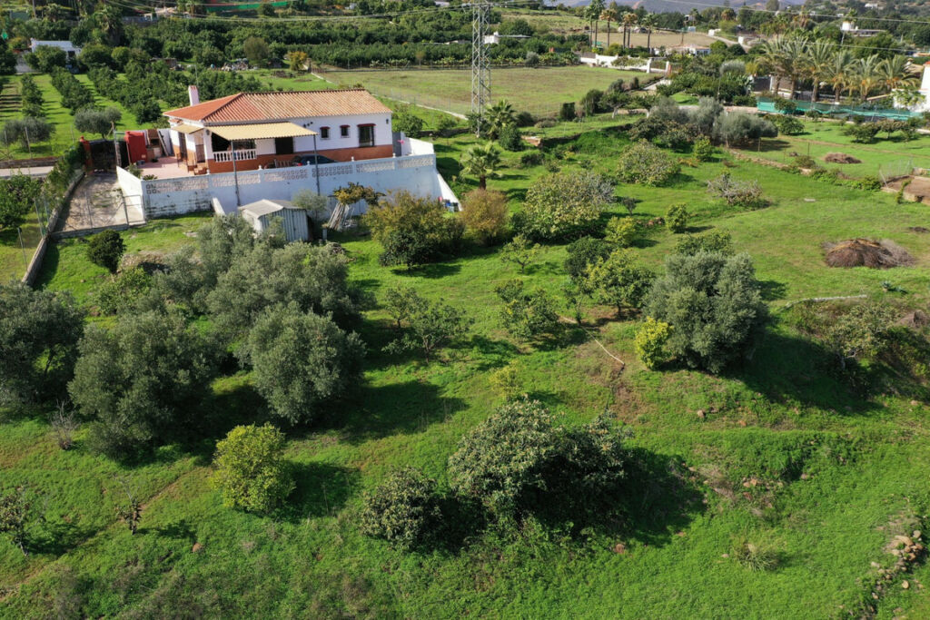 Finca - Cortijo El Padron Málaga - image 35