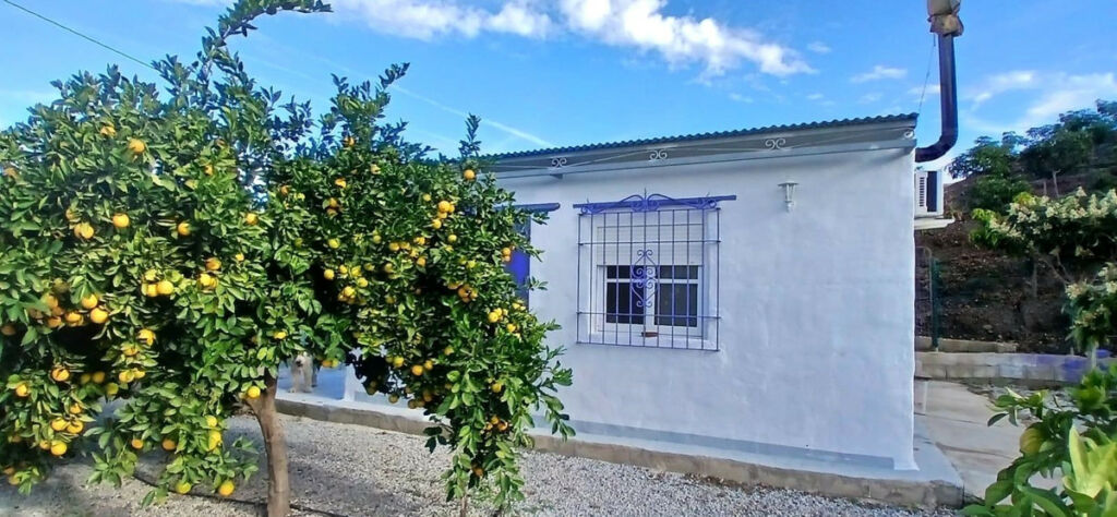 Finca - Cortijo Benamargosa Málaga - image 35