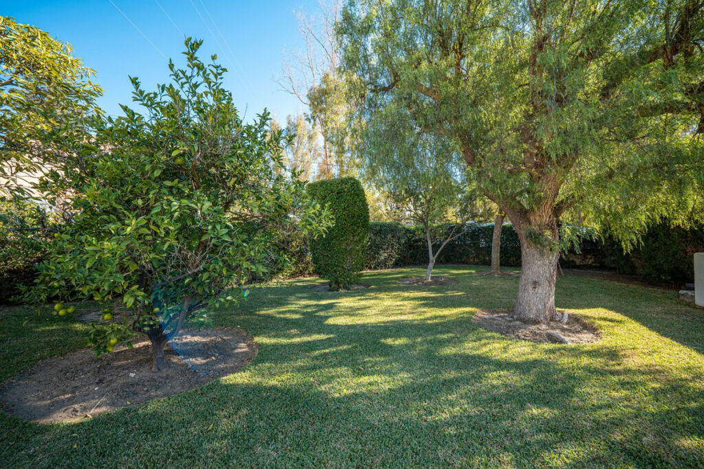 Detached Villa Benalmadena Málaga - image 35