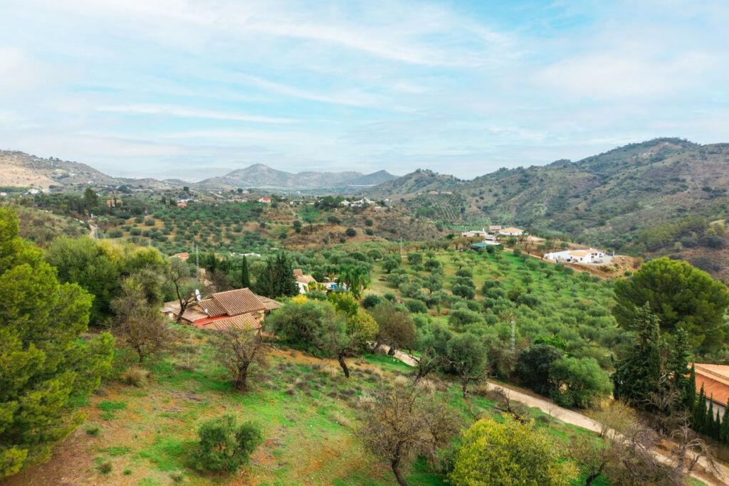 Detached Villa Monda Málaga - image 36