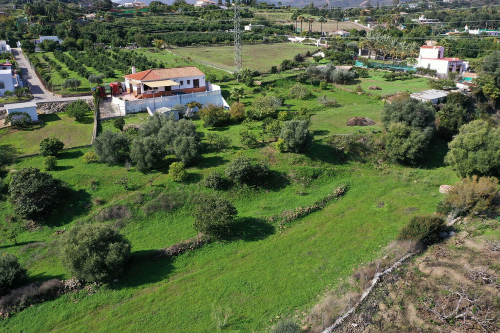 Finca - Cortijo El Padron Málaga - image 36