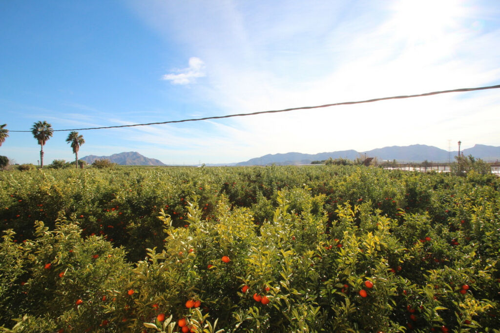 Finca - Cortijo Murcia City Murcia - image 36