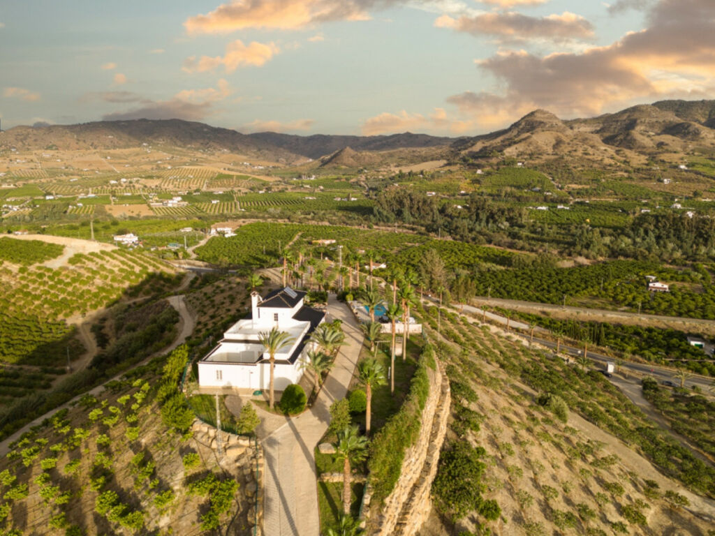 Finca - Cortijo Pizarra Málaga - image 37