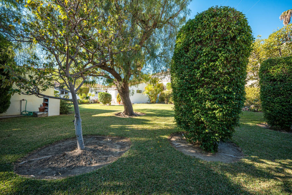 Detached Villa Benalmadena Málaga - image 37