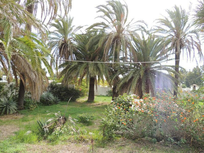 Detached Villa Estepona Málaga - image 4