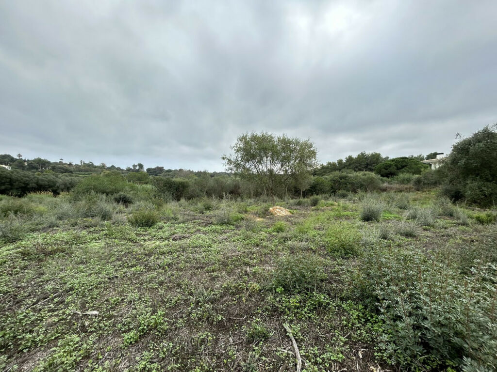Residential Plot Sotogrande Alto Cádiz - image 4