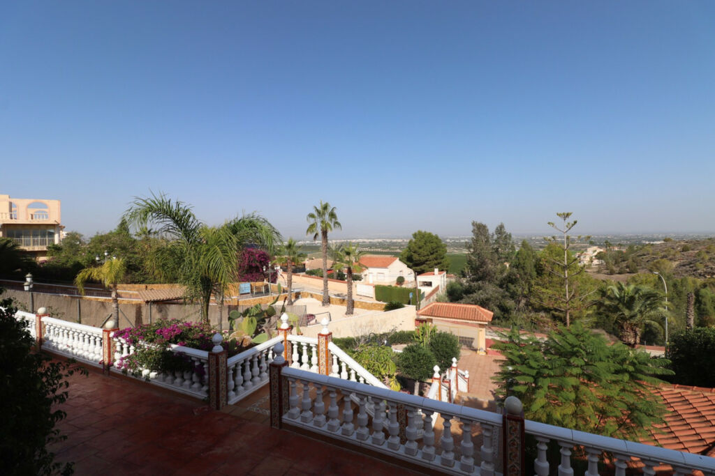 Detached Villa Algorfa Alicante - image 40