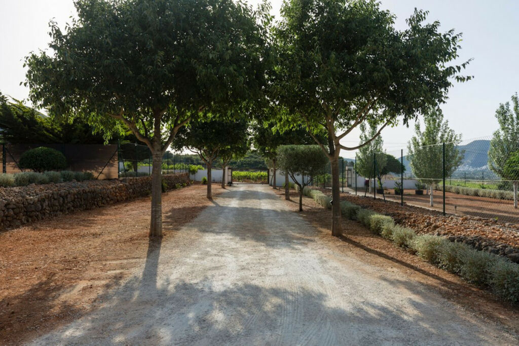 Finca - Cortijo Lliber Alicante - image 37