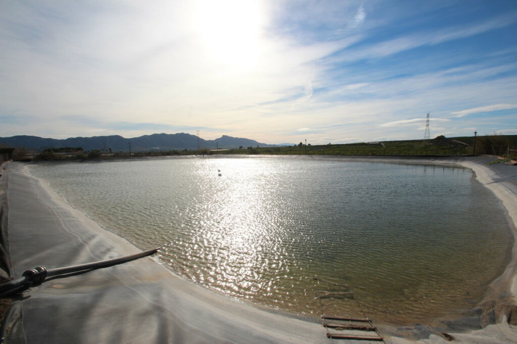 Finca - Cortijo Murcia City Murcia - image 42