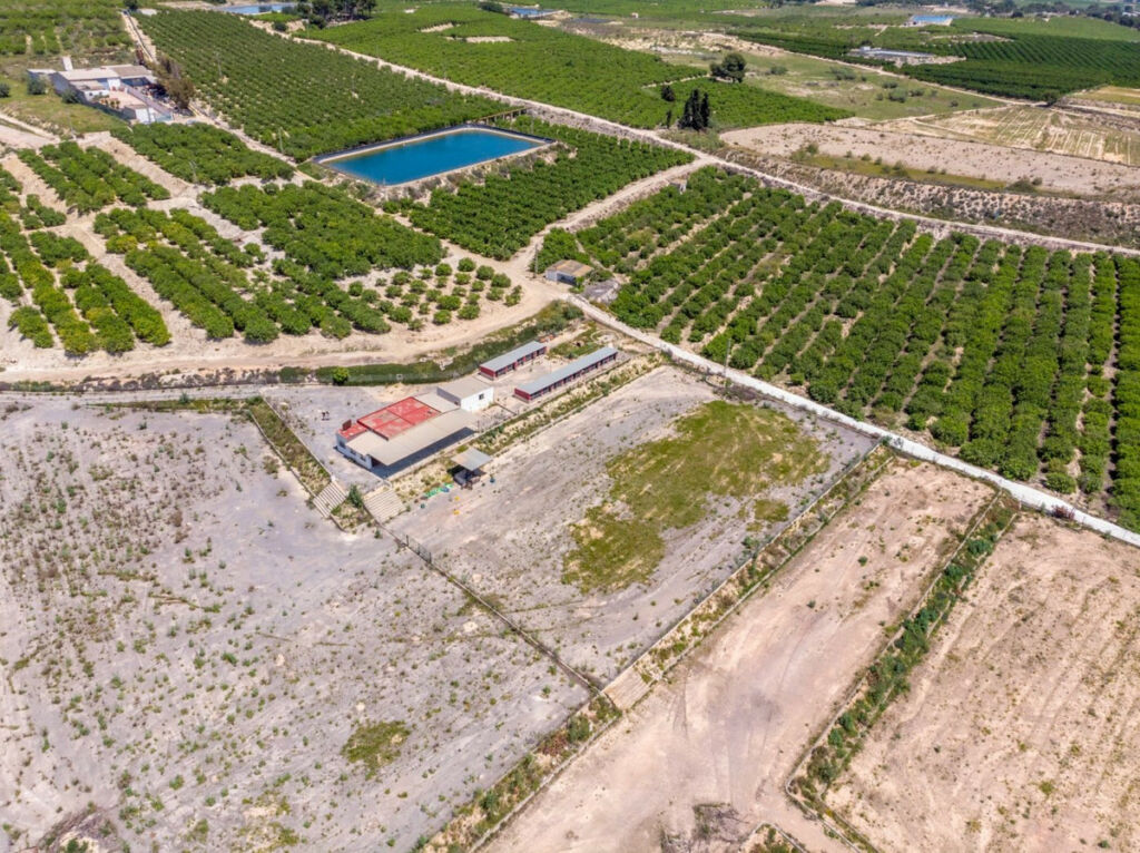 Finca - Cortijo Los Montesinos Alicante - image 42