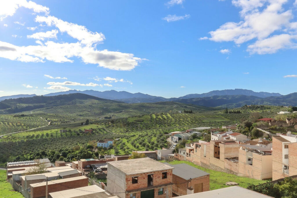 Townhouse Alozaina Málaga - image 43