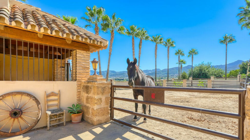 Finca - Cortijo Alhaurín de la Torre Málaga - image 43