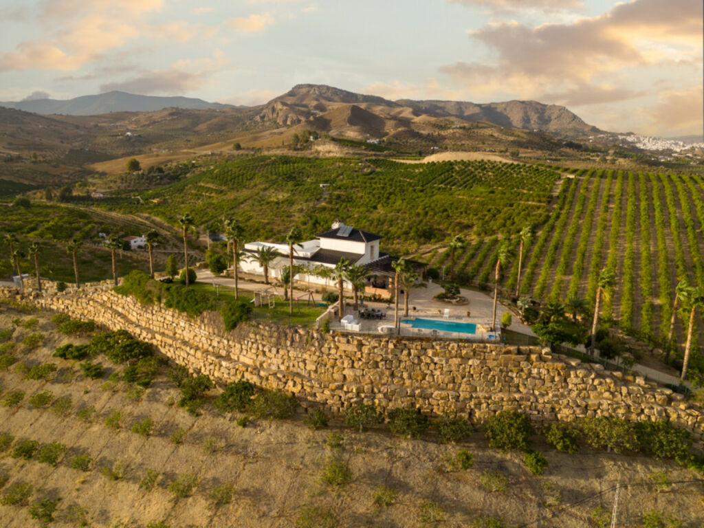 Finca - Cortijo Pizarra Málaga - image 43