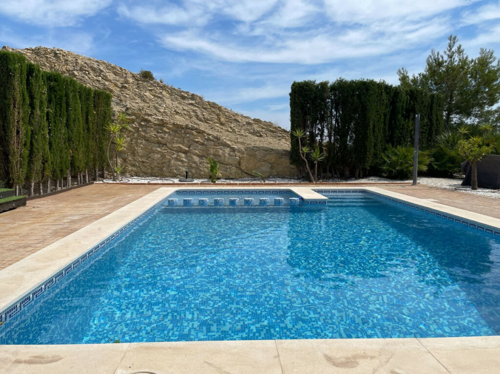 Detached Villa Monforte Del Cid Alicante - image 43