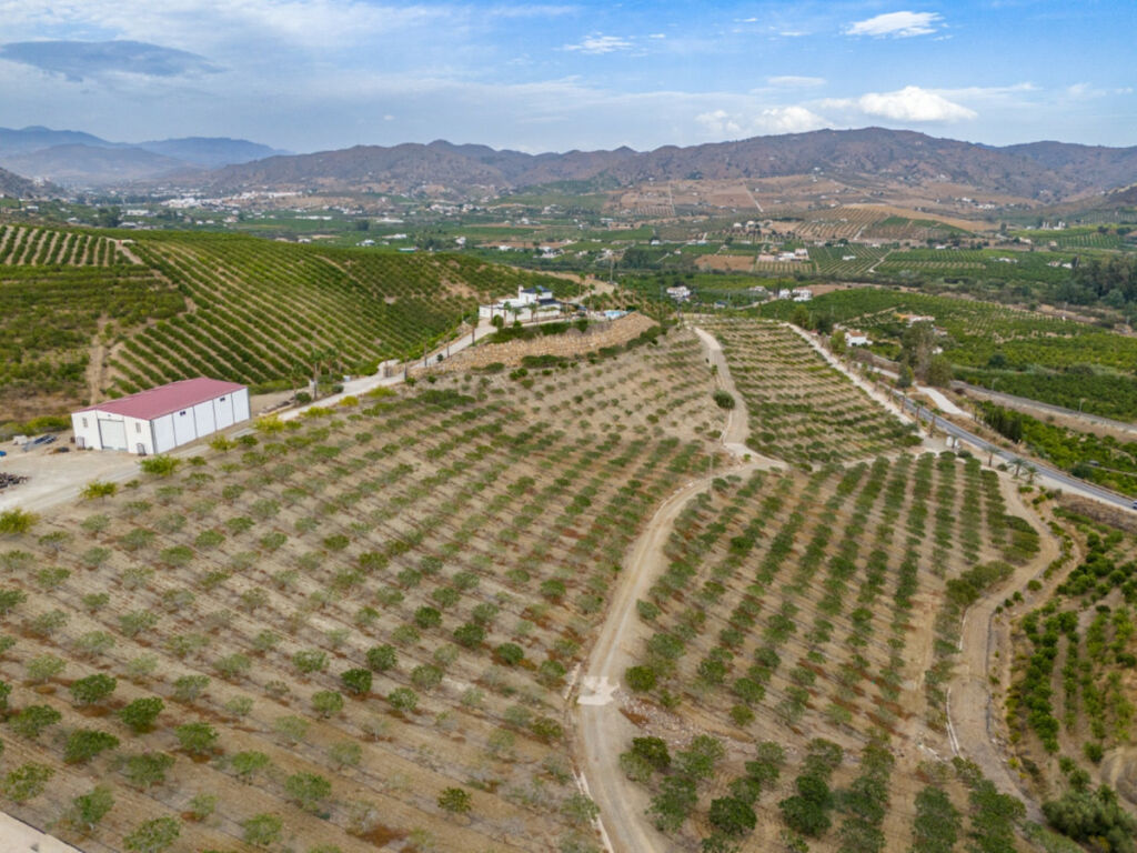 Finca - Cortijo Pizarra Málaga - image 44