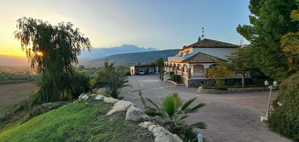 Detached Villa Arriate Málaga - image 43