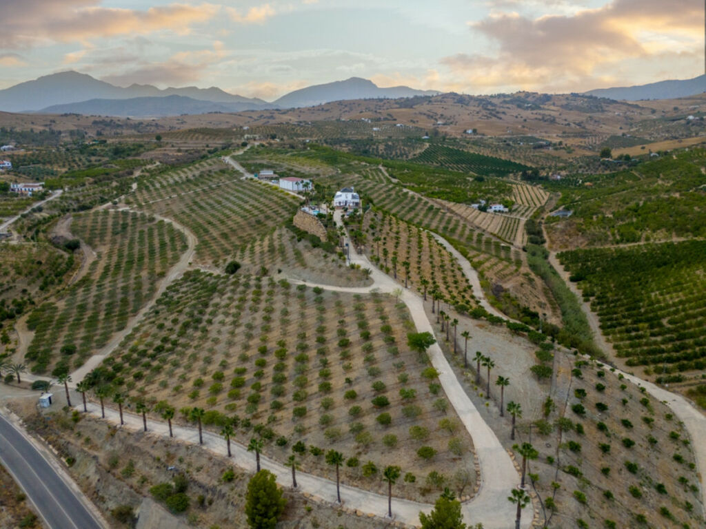 Finca - Cortijo Pizarra Málaga - image 45