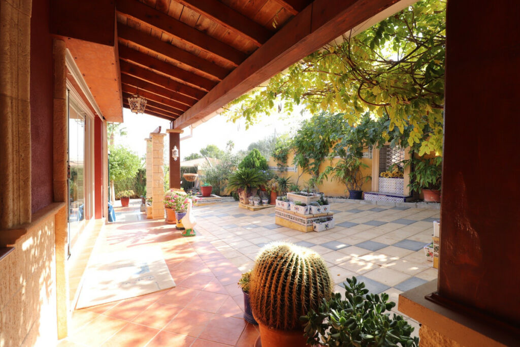 Detached Villa Algorfa Alicante - image 46