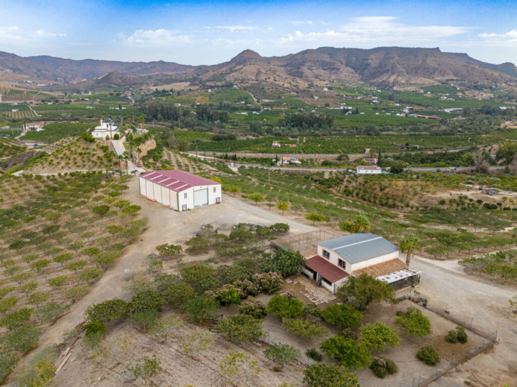 Finca - Cortijo Pizarra Málaga - image 47