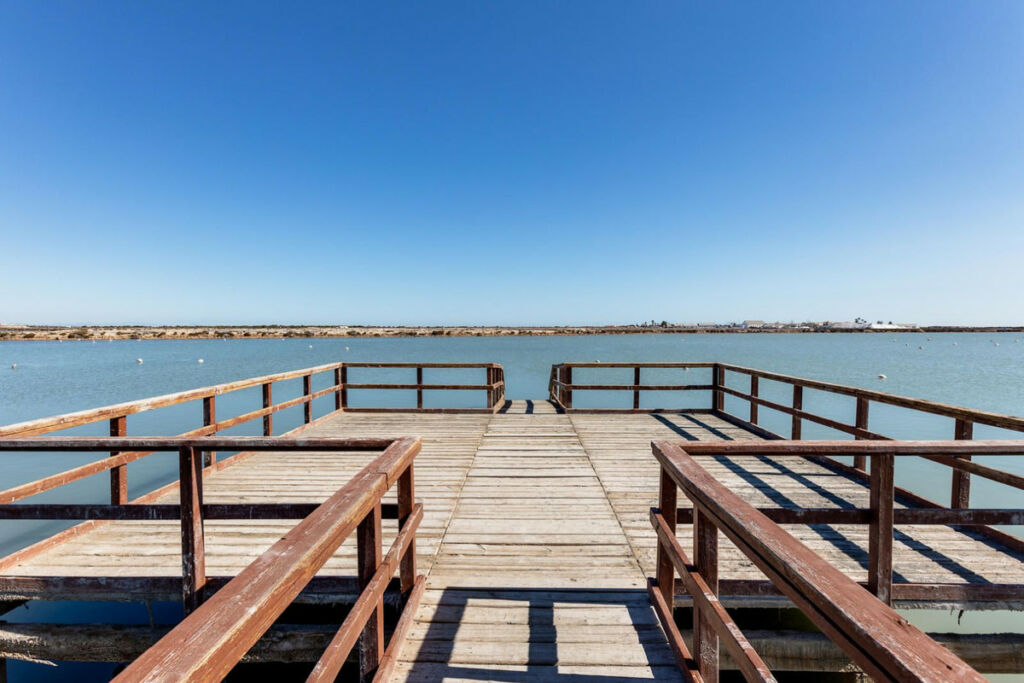Ground Floor Apartment San Pedro del Pinatar Murcia - image 47