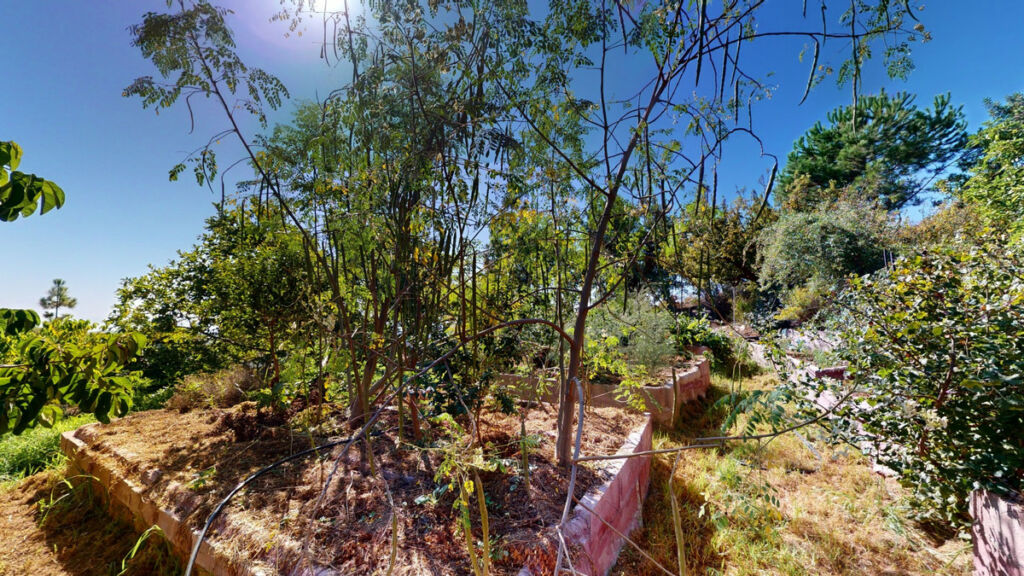 Detached Villa Nerja Málaga - image 47