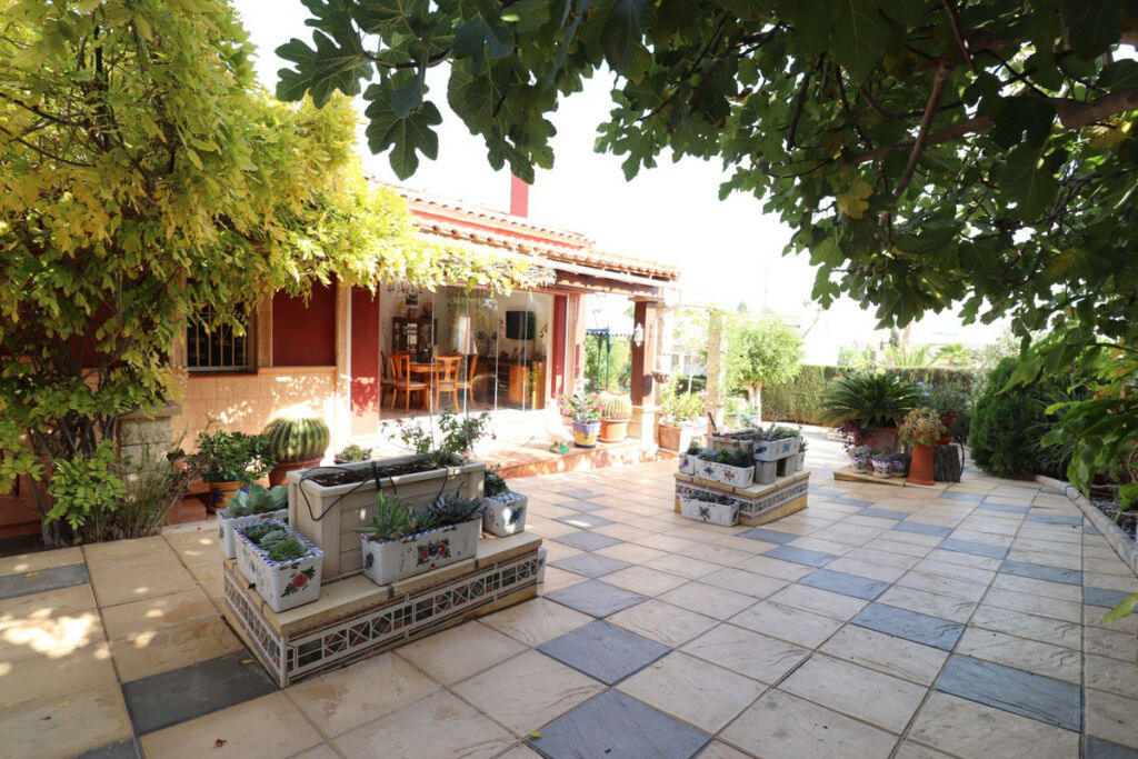 Detached Villa Algorfa Alicante - image 47