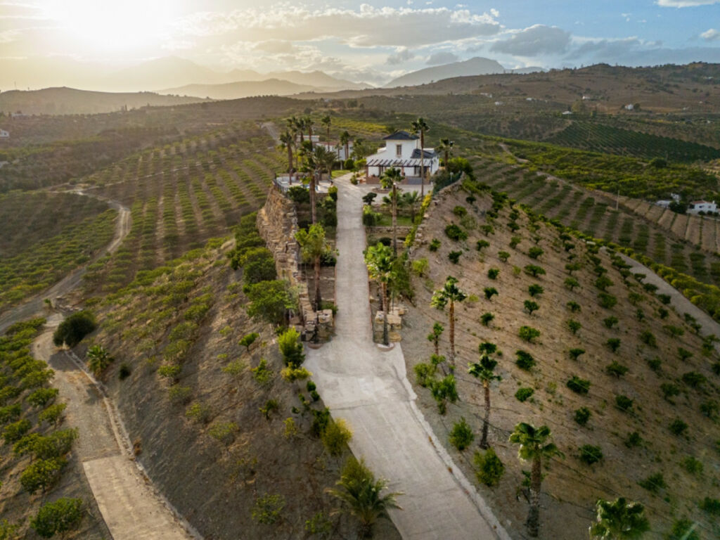 Finca - Cortijo Pizarra Málaga - image 48