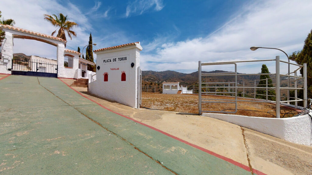 Detached Villa Arenas Málaga - image 48