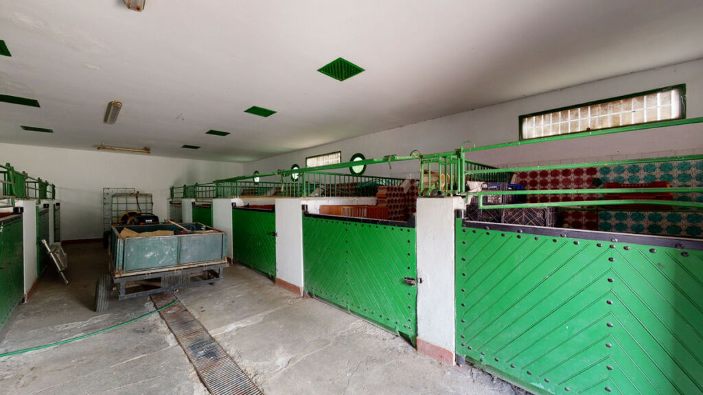 Detached Villa Arenas Málaga - image 50