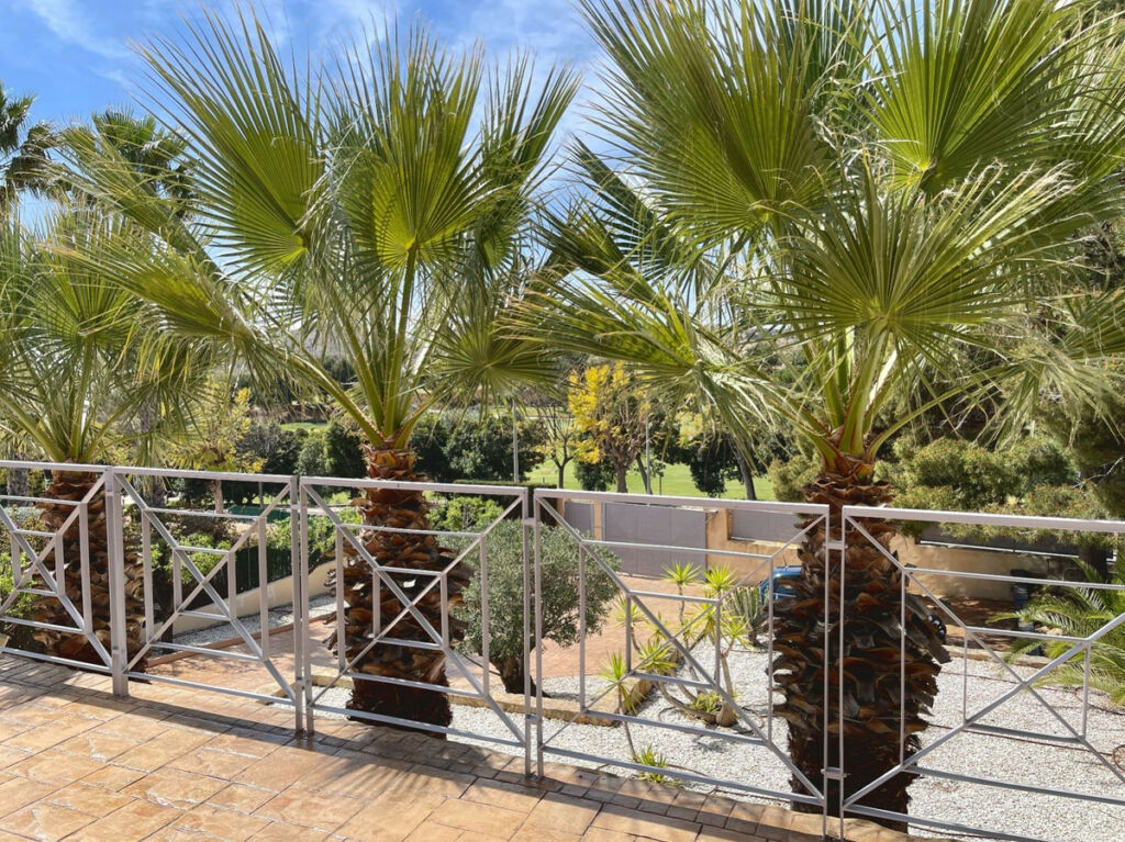 Detached Villa Monforte Del Cid Alicante - image 6