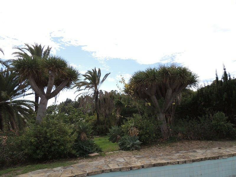 Detached Villa Estepona Málaga - image 6
