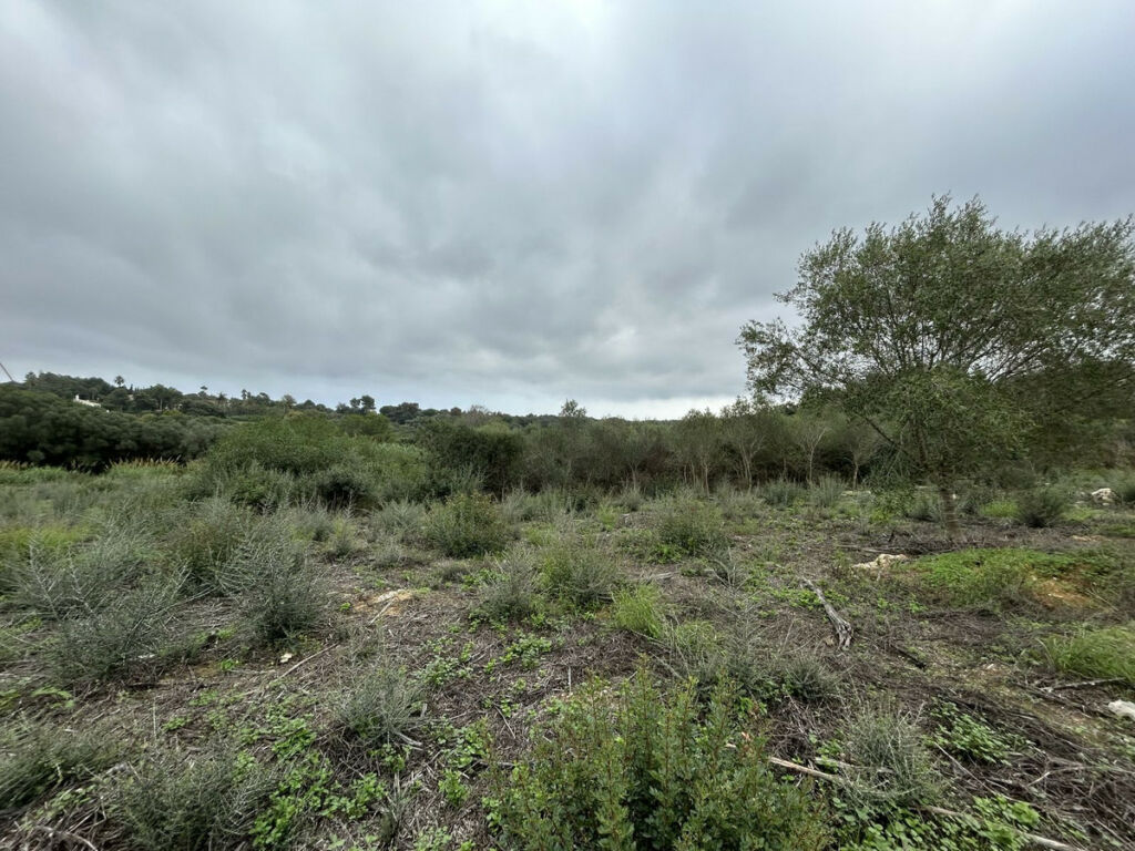 Residential Plot Sotogrande Alto Cádiz - image 6