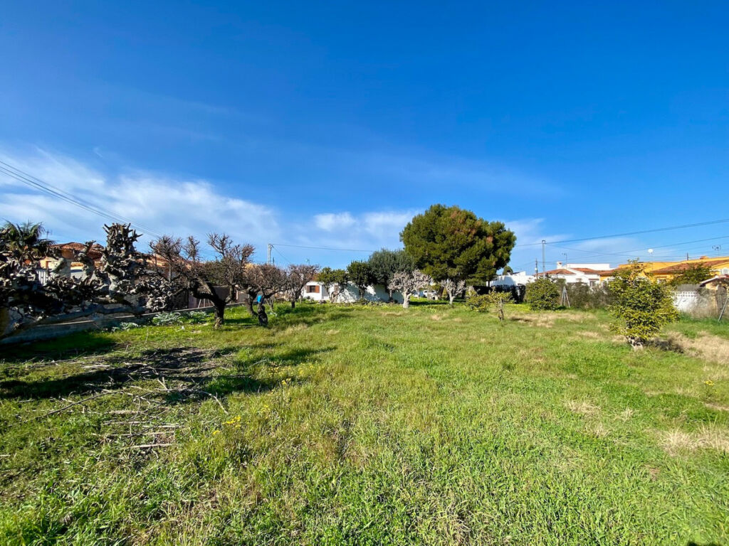 Detached Villa Denia Alicante - image 6