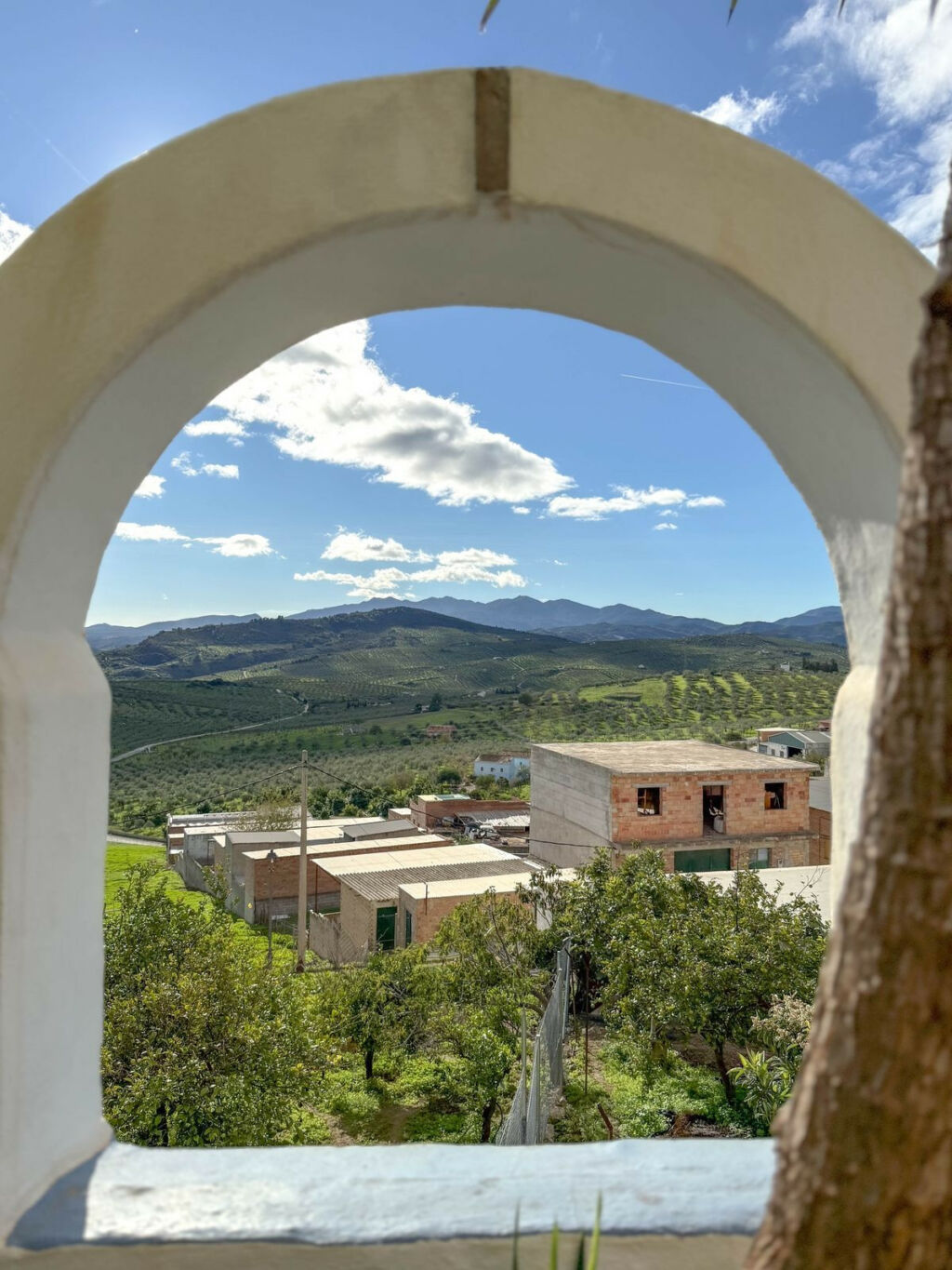 Townhouse Alozaina Málaga - image 62