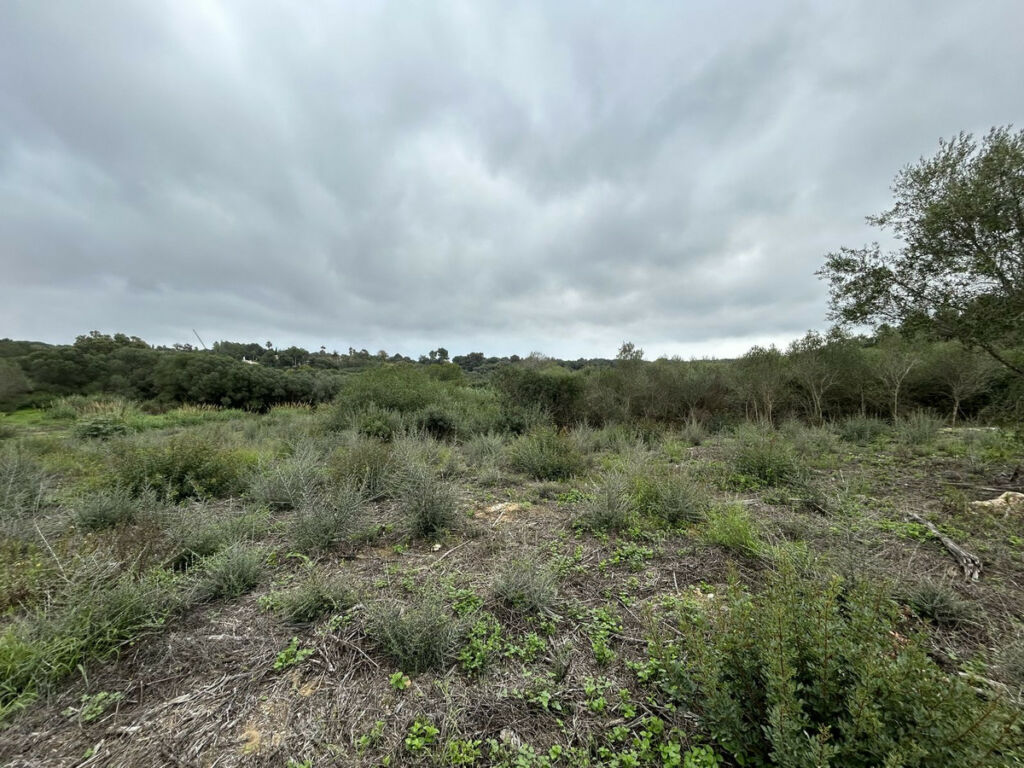 Residential Plot Sotogrande Alto Cádiz - image 7
