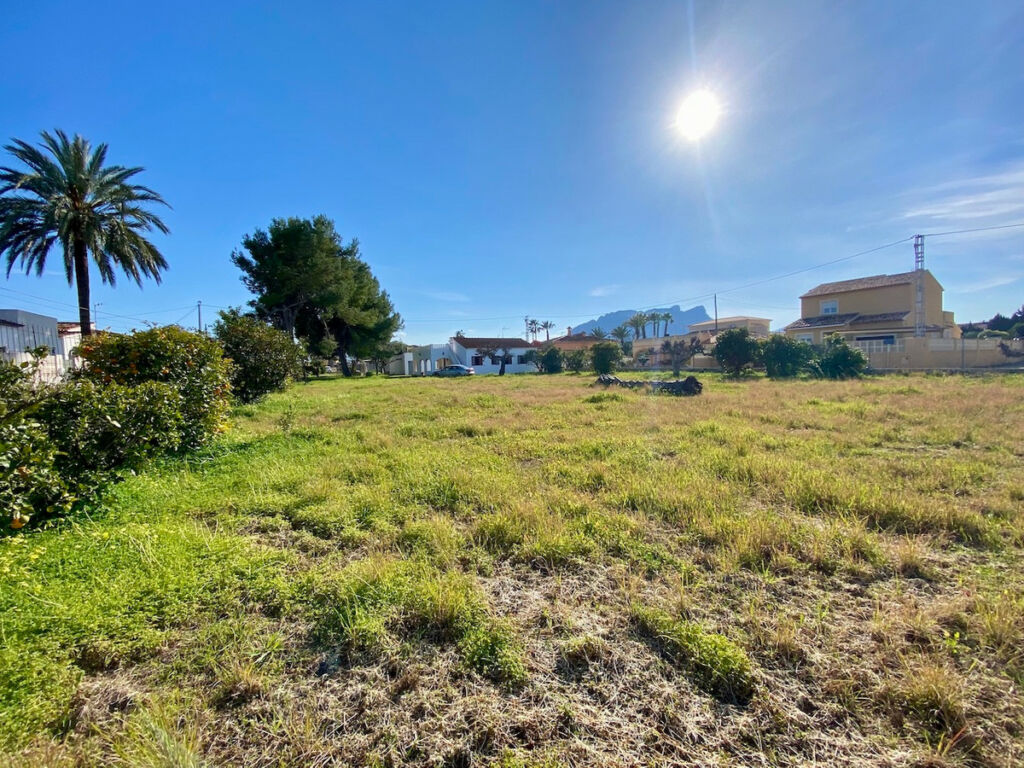 Detached Villa Denia Alicante - image 7
