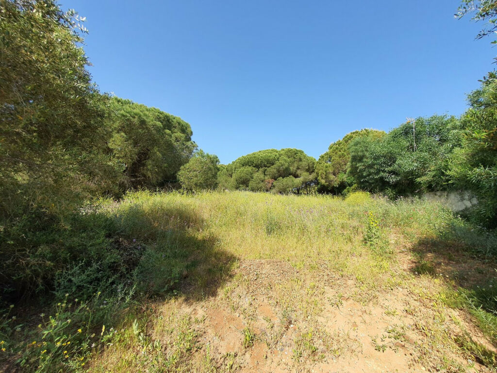 Residential Plot Sotogrande Cádiz - image 6