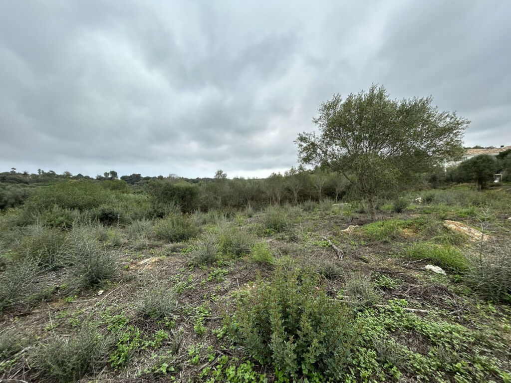 Residential Plot Sotogrande Alto Cádiz - image 8