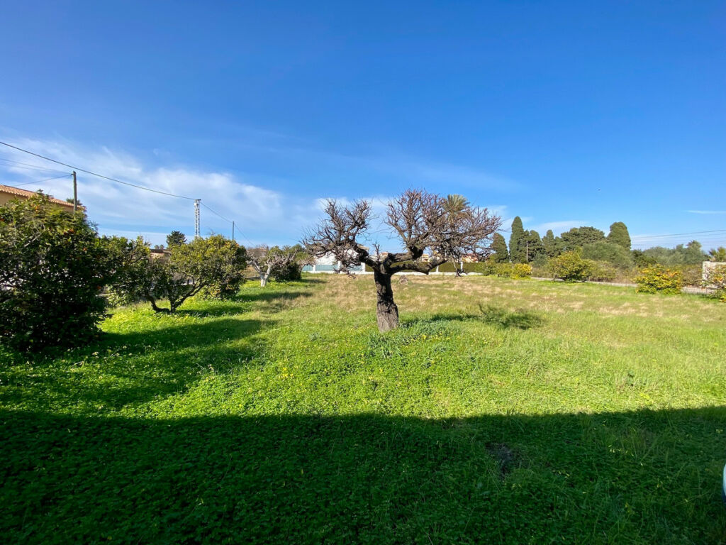 Detached Villa Denia Alicante - image 9