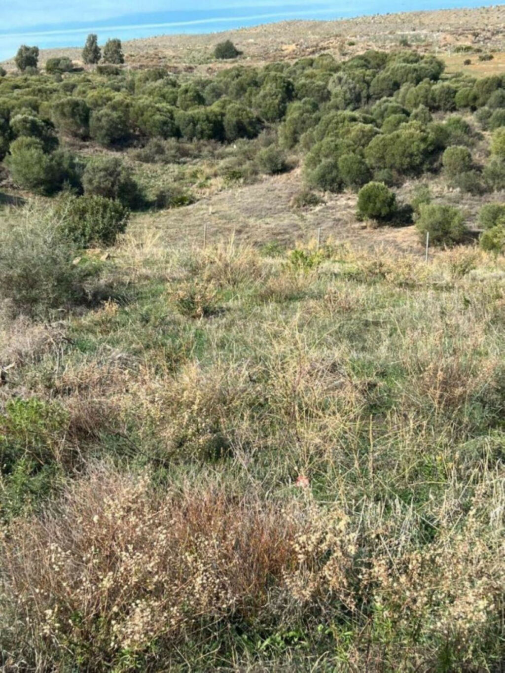 Residential Plot Valle Romano Málaga - image 6