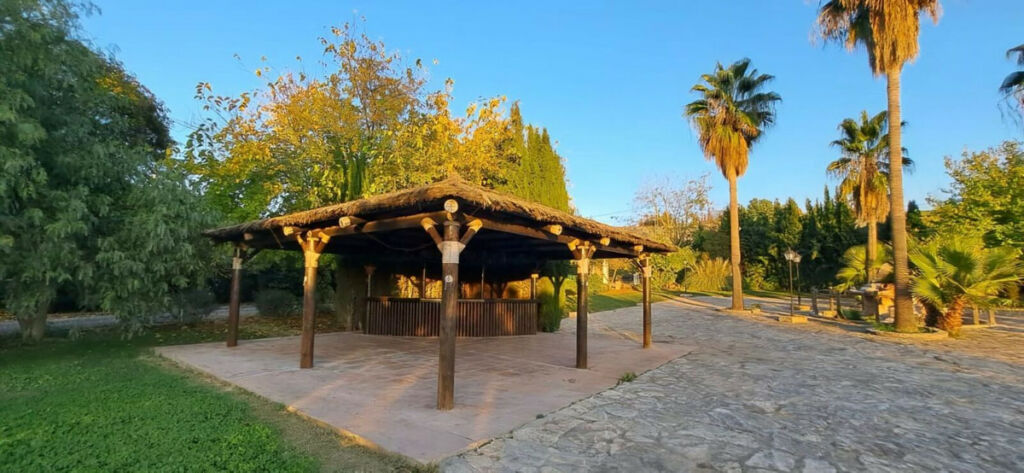 Detached Villa Arriate Málaga - image 8
