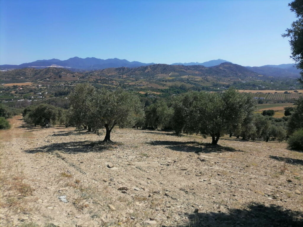 Land Coín Málaga