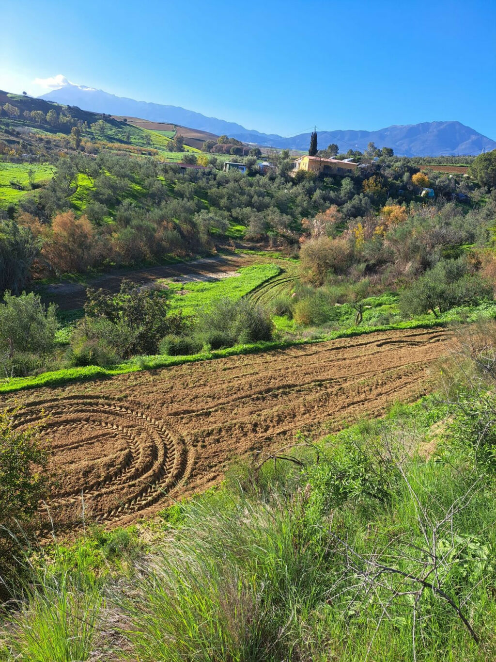 Land Coín Málaga