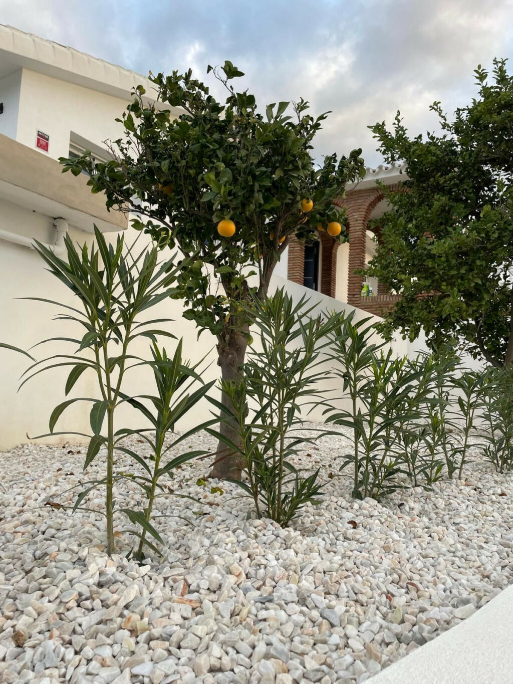 Detached Villa Cerros del Aguila Málaga - image 86