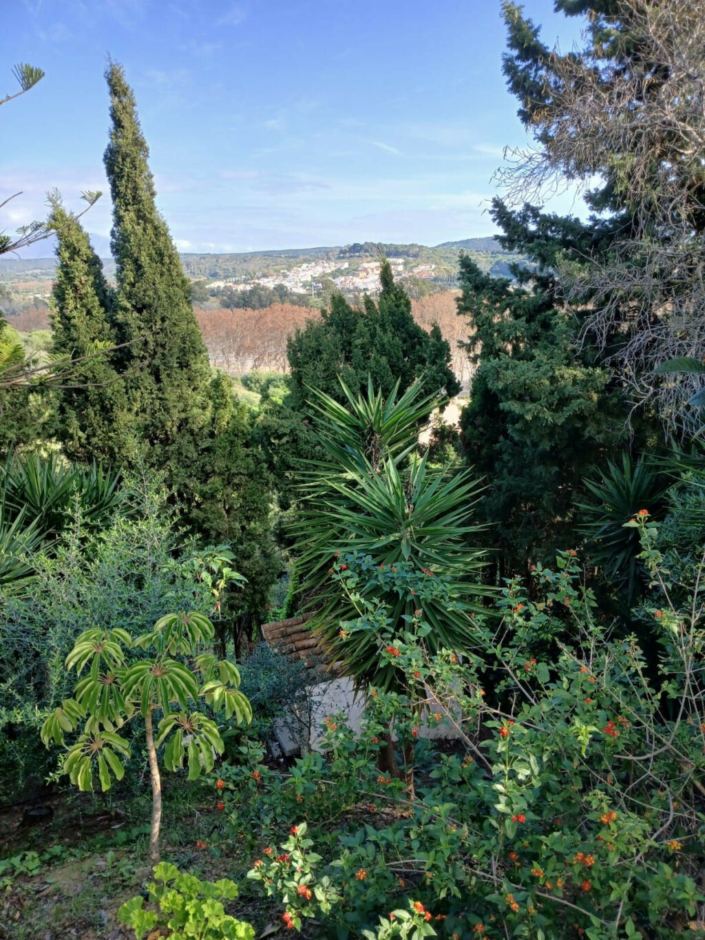 Detached Villa Pueblo Nuevo de Guadiaro Cádiz - image 11