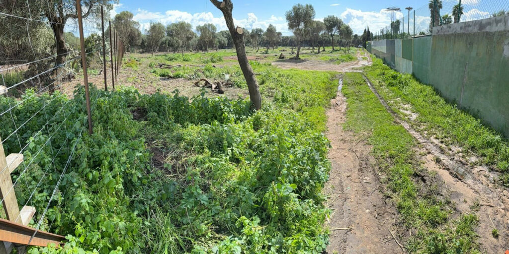 Land Tarifa Cádiz - image 11